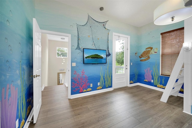 entryway with hardwood / wood-style flooring