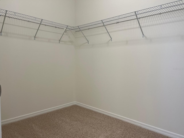 walk in closet with carpet