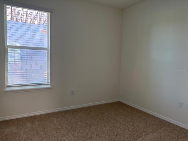 unfurnished room with carpet floors and a wealth of natural light