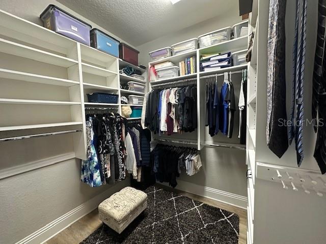 spacious closet featuring dark wood-type flooring