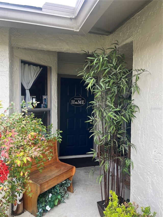 view of exterior entry featuring stucco siding