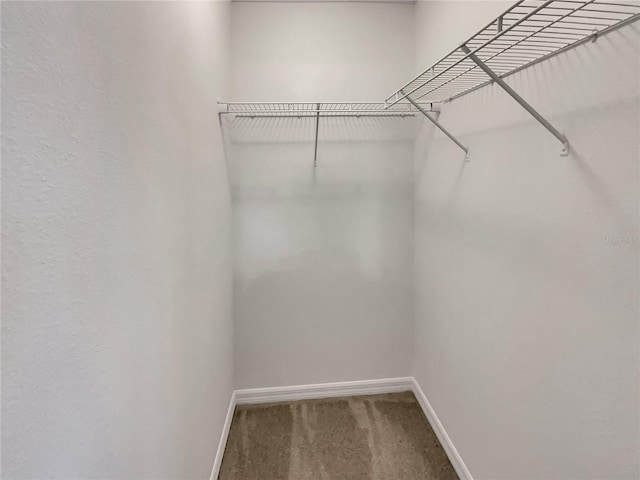 walk in closet with carpet floors