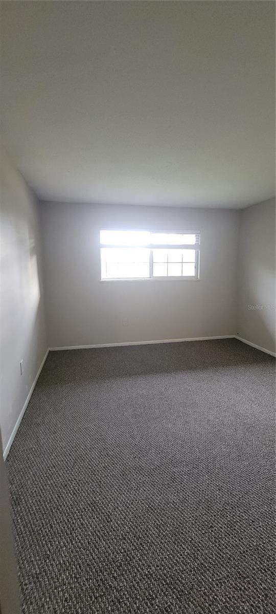 carpeted empty room with plenty of natural light