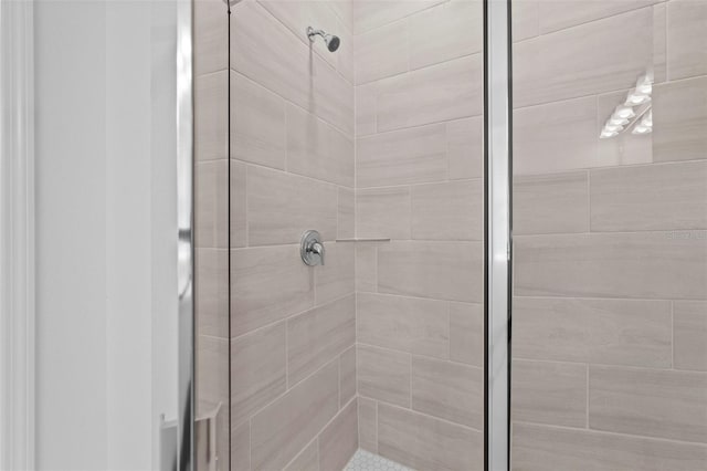 bathroom featuring a shower stall