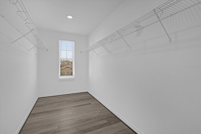 walk in closet with wood-type flooring