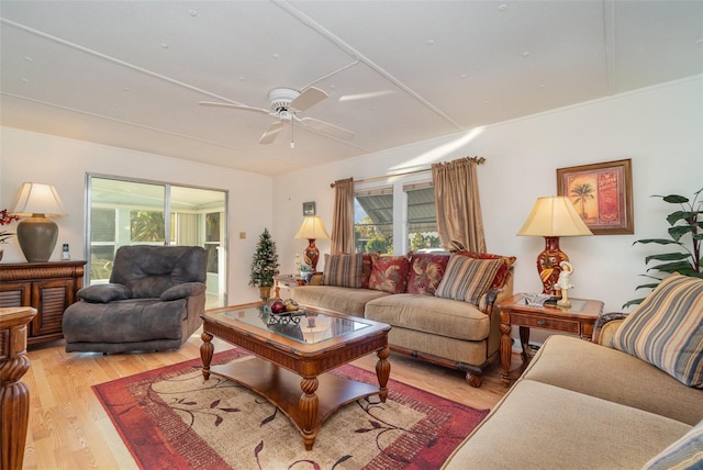 living room with ceiling fan and light hardwood / wood-style flooring