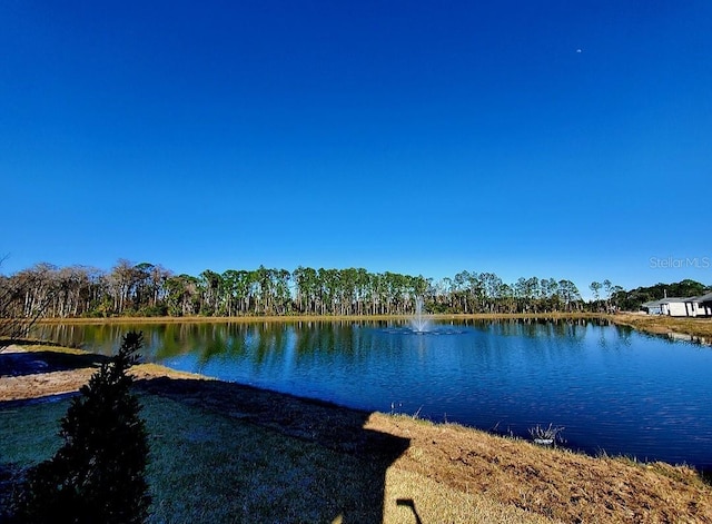 property view of water