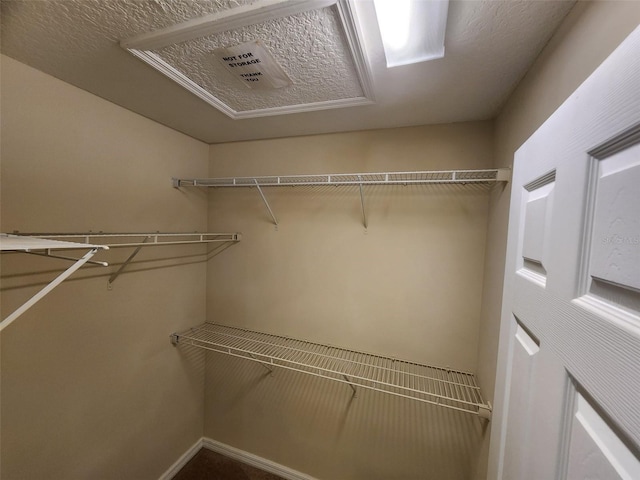 view of walk in closet