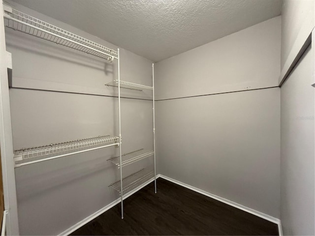 walk in closet featuring hardwood / wood-style flooring