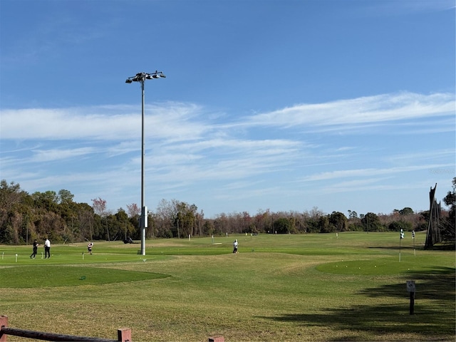 view of community with a lawn