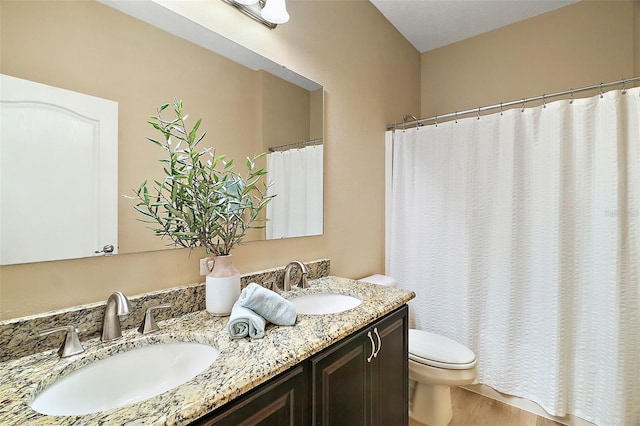 bathroom with toilet and vanity