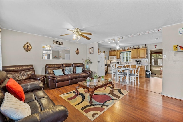 living room with a textured ceiling and light hardwood / wood-style floors