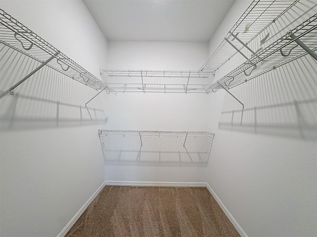 spacious closet with carpet