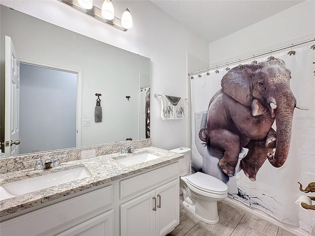 bathroom with toilet, vanity, and a textured ceiling