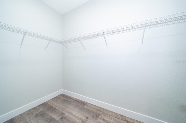 walk in closet featuring hardwood / wood-style flooring