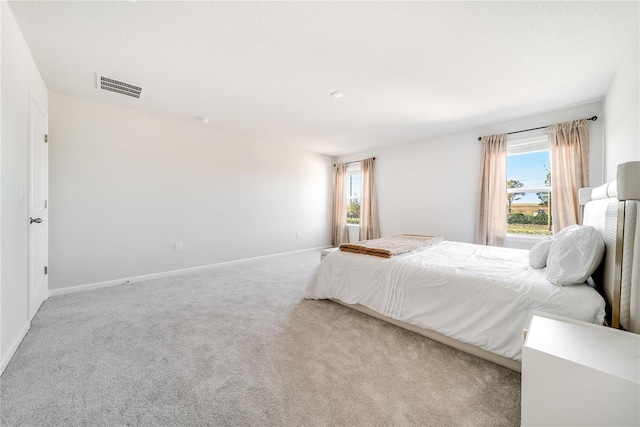 carpeted bedroom with multiple windows