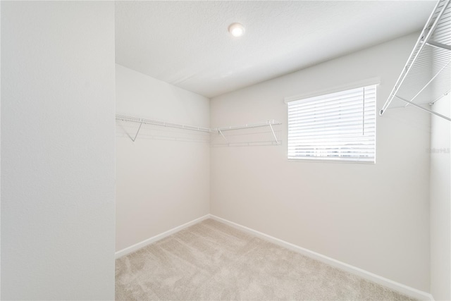 walk in closet featuring light colored carpet