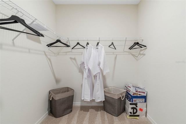 spacious closet featuring carpet