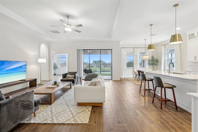 living room with a raised ceiling, ceiling fan, and plenty of natural light