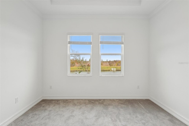 carpeted empty room with crown molding