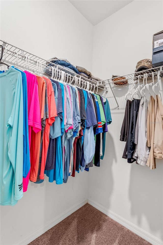 walk in closet featuring carpet flooring