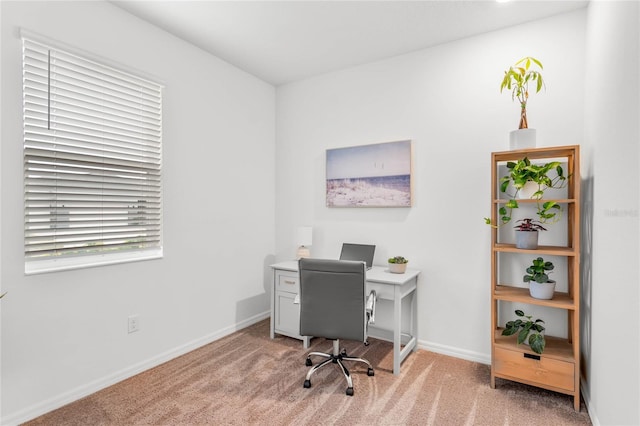 view of carpeted office space