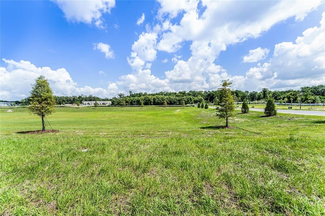 view of yard featuring a rural view