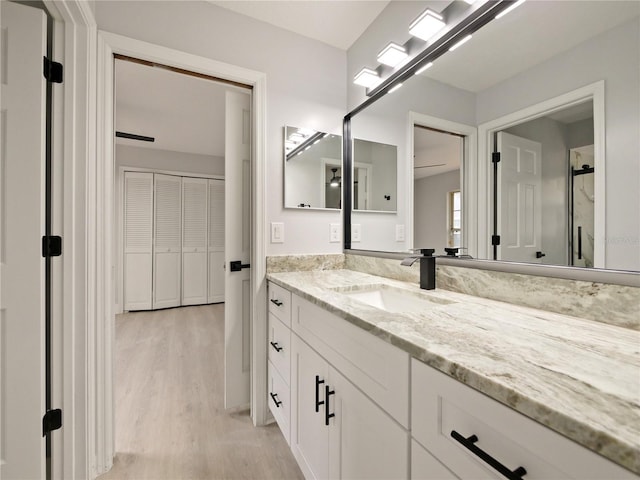 bathroom featuring vanity and wood-type flooring