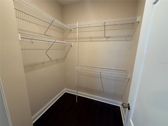 walk in closet with hardwood / wood-style floors