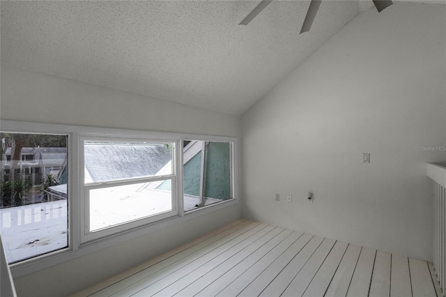 interior space with a textured ceiling, a wealth of natural light, and lofted ceiling