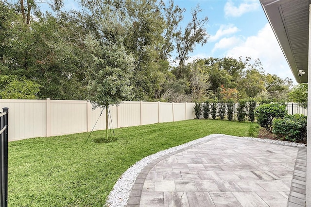 view of yard featuring a patio area