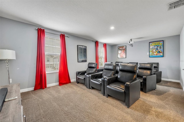 view of carpeted home theater