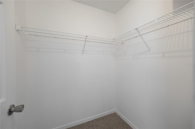 walk in closet featuring carpet floors