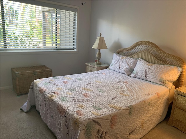 bedroom with carpet floors