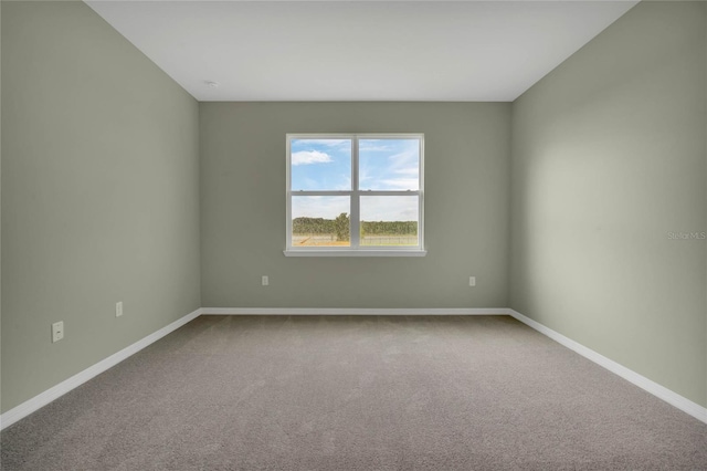 spare room with carpet floors