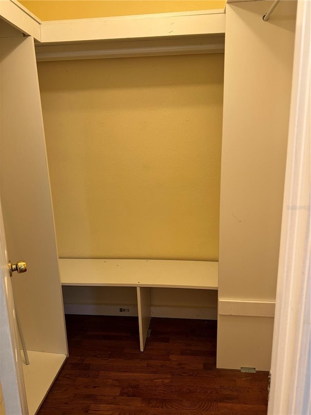 spacious closet with dark wood-type flooring