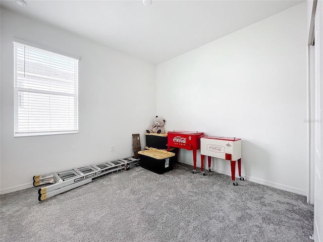 playroom with carpet flooring