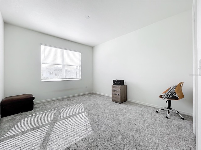 miscellaneous room featuring light colored carpet