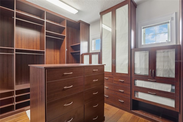 walk in closet with light wood-type flooring