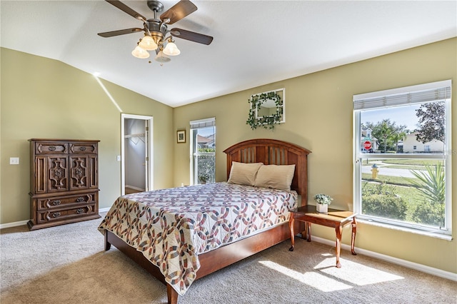 bedroom featuring carpet, ceiling fan, a spacious closet, a closet, and lofted ceiling