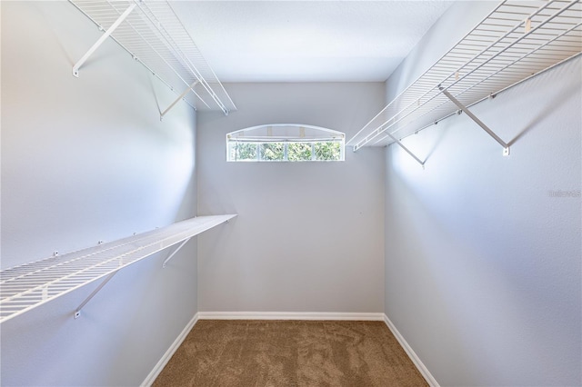 spacious closet with carpet floors