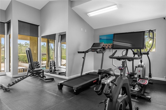 workout area featuring vaulted ceiling