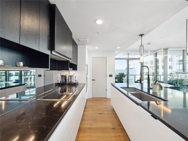 kitchen featuring hanging light fixtures, light hardwood / wood-style flooring, sink, and plenty of natural light