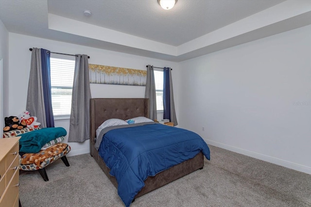 carpeted bedroom featuring a tray ceiling