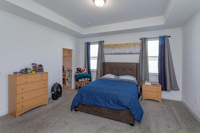 carpeted bedroom with a raised ceiling, a closet, and a spacious closet