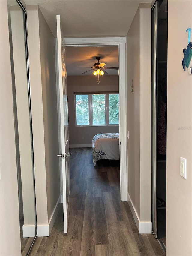 corridor featuring dark wood-type flooring