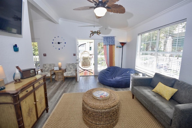 living room featuring ornamental molding, hardwood / wood-style floors, and ceiling fan