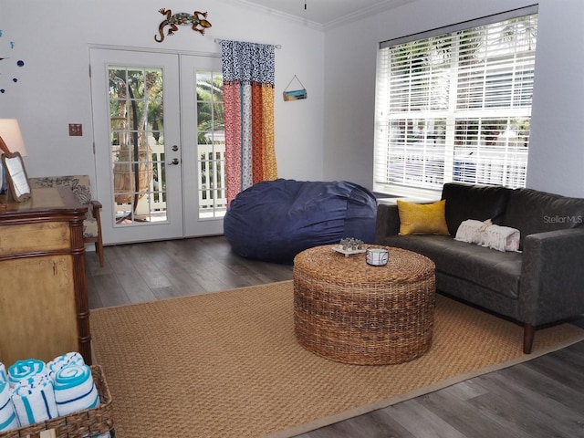 living room with french doors, dark hardwood / wood-style floors, and a wealth of natural light