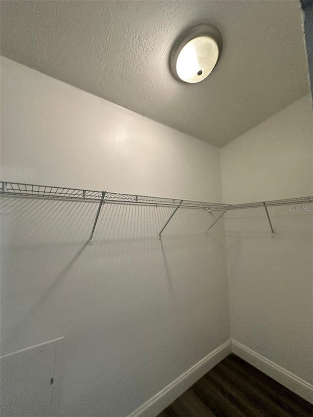 walk in closet with dark wood-type flooring