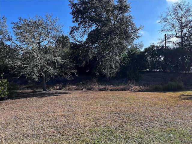 3195 NE 101st Ter, Silver Springs, FL 34488 - photo 10